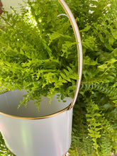 Load image into Gallery viewer, Basket