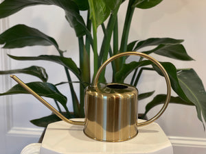 Gold Watering Can